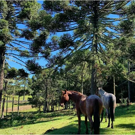 Fazenda Santa Rita Turismo Rural Bom Jardim da Serra Exterior foto